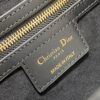 desc_dior-cd-signature-bag-with-strap_2