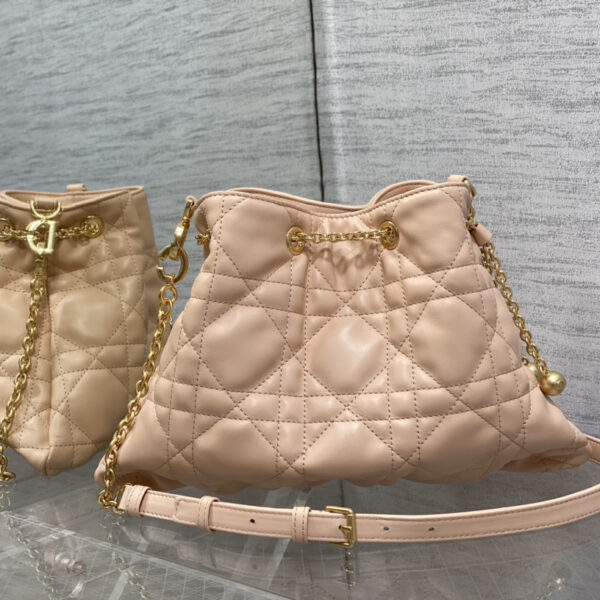 Dior Medium Dior Ammi Bag