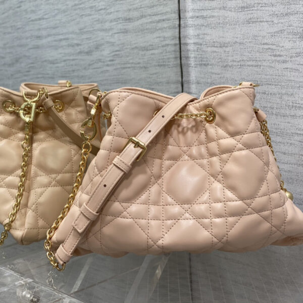 desc_dior-medium-dior-ammi-bag_1