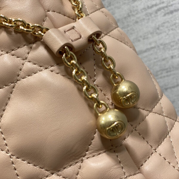 desc_dior-medium-dior-ammi-bag_6