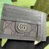 desc_gucci-ophidia-card-case_5